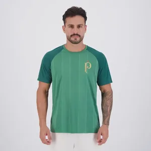 Camisa Do Palmeiras Palestra Raglan Masculina