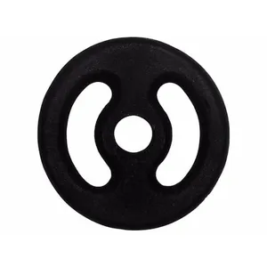 Anilha Pintada KL Master Peso Academia Musculação - 2 kg