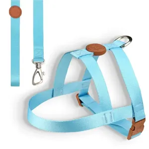 Conjunto Peitoral Tradicional com Guia Toh Azul P