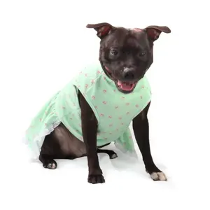 Vestido Lacinhos Bichinho Chic Verde PP
