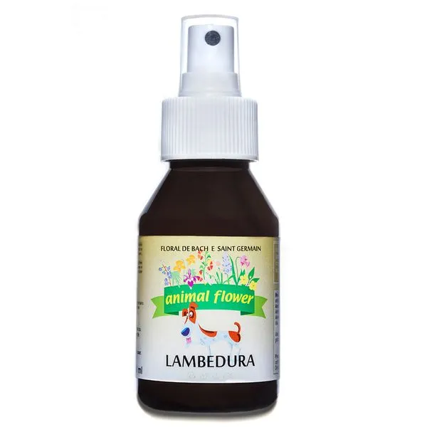 Floral Vet Spray Lambedura Psicogênico Animal Flower 100ml