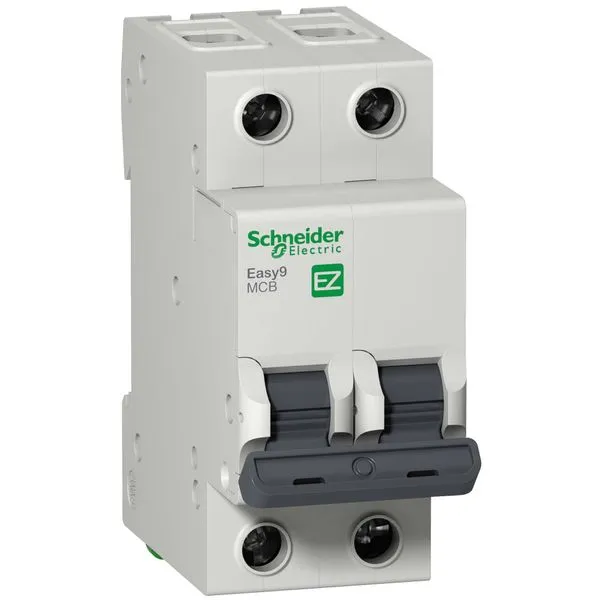 Disjuntor DIN 2 Polos Bipolar 40A Curva de Disparo C Schneider Eletric