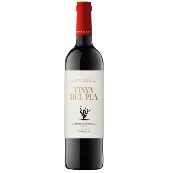 Vinho Tinto Espanhol Vinya Del Pla Catalunha Vinho Tinto Vinya Del Pla Catalunha
