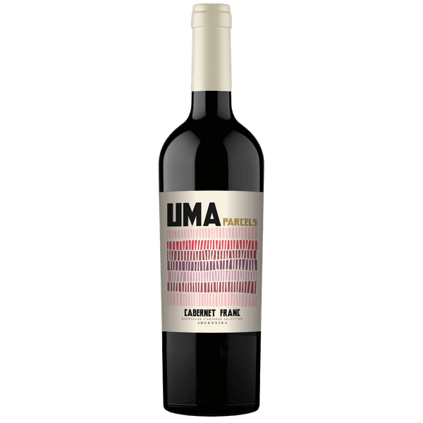 Vinho Tinto Argentino Finca Agostino Uma Parcels Cabernet Franc Vinho Tinto Finca Agostino Uma Parcels Cabernet Franc