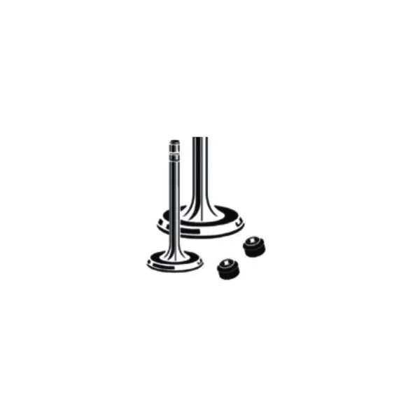 Valvula Cabecote Motor Admissao Std 05619Kit Sabo