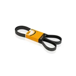 Correia Poly V 870Mm 4Pk870 Contitech