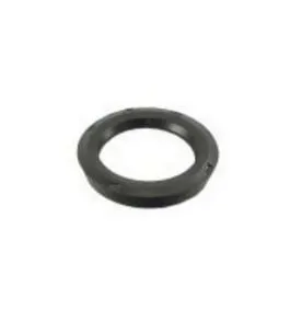 Retentor Roda Dianteira Externo 00979Brge Sabo