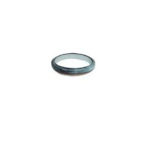 Retentor Virabrequim Traseiro 05287Gragh Sabo