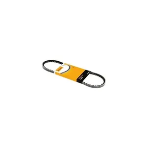Correia Poly V Avx13X1175 Contitech