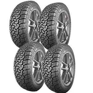 Kit 4 Pneus Aro 19 Xbri Brutus T/A 255/55R19 116/112S