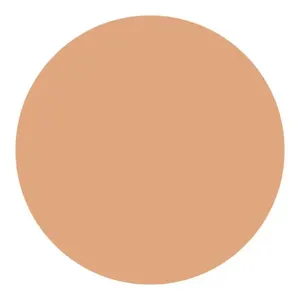 Shiseido UV Protective Compact Foundation Dark Ivory - Protetor Solar Facial Compacto FPS 35 Refil 12g