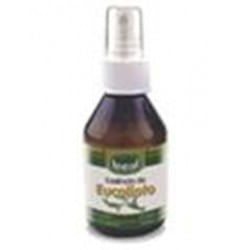 Essência de Eucalipto Ideal Spray 100ml