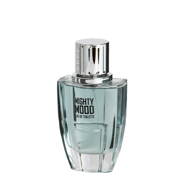 Perfume Linn Young Mighty Mood Eau de Toilette - Perfume Masculino 100ml