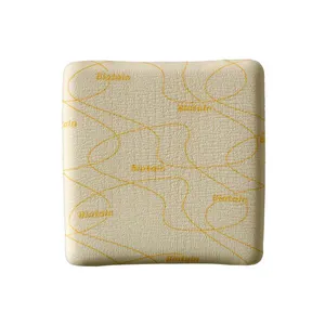 Curativo Biatain Não Adesivo 15x15 - 5 Unidades