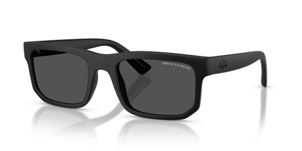 AX4165S