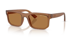 AX4165S