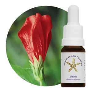 Essência Vitória: Harmonia e Autoconfiança 10mL