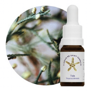 Tuia Equilibrio: Essência Floral 10mL - Pureza e Harmonia