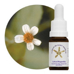 Energia Divina: Essência Floral Lótus Magnólia 10mL