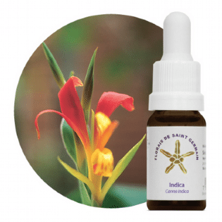 Essência Intuitiva: Floral Saint Germain 10mL