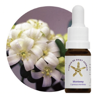 Autoamor em Gotas: Essência do Bem-Estar 10mL