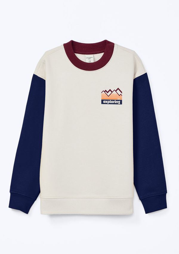 Blusão Infantil Menino Com Estampa Localizada - Cinza 012