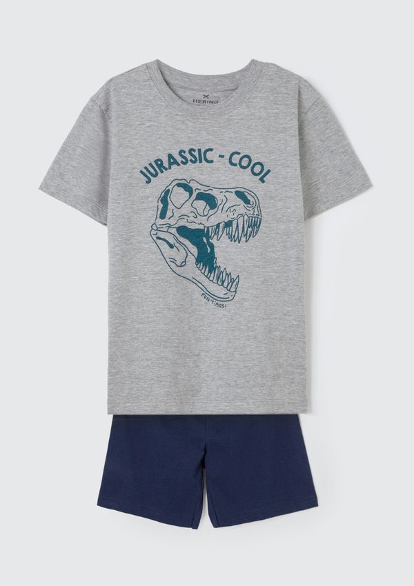 Pijama Infantil Menino Curto Com Estampa - Cinza 014