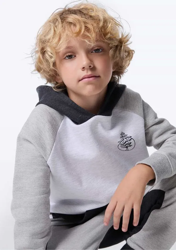 Blusão Infantil Menino Comfort Com Capuz - Cinza 006