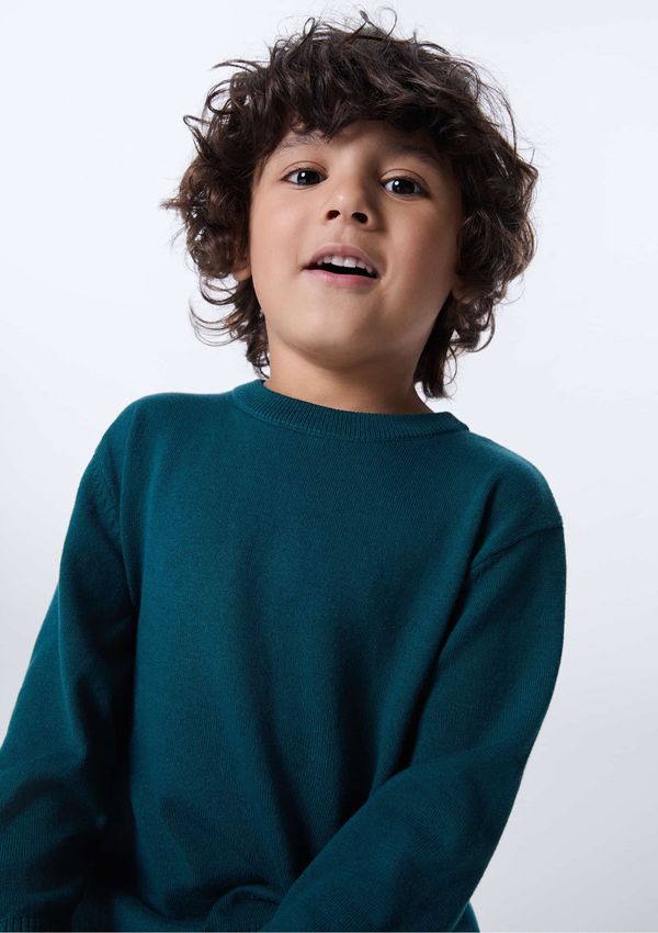Blusão Infantil Menino Regular Com Decote Redondo - Verde 003