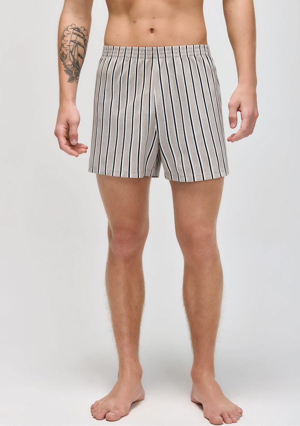 Cueca Samba Canção Estampada - Cinza M