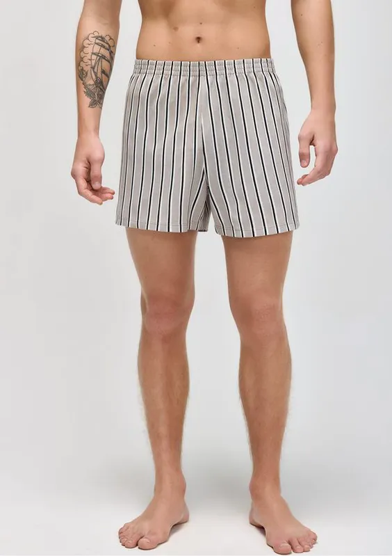 Cueca Samba Canção Estampada - Cinza M
