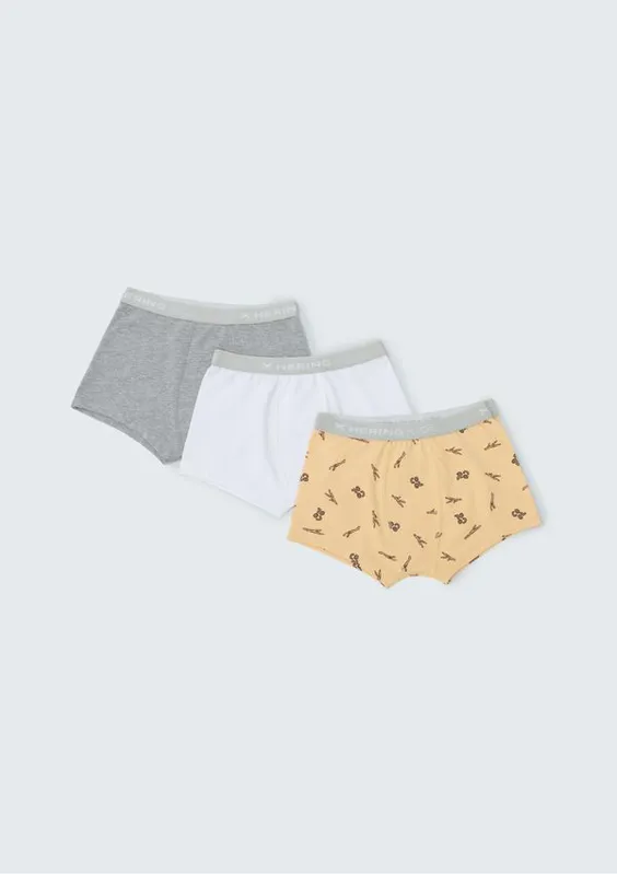Kit Com 3 Cuecas Infantil - Multicolorido 014