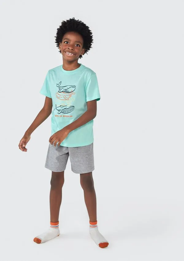 Pijama Infantil Menino Curto Com Estampa - Verde 012