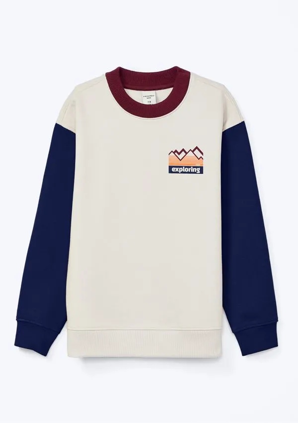 Blusão Infantil Menino Com Estampa Localizada - Cinza 014