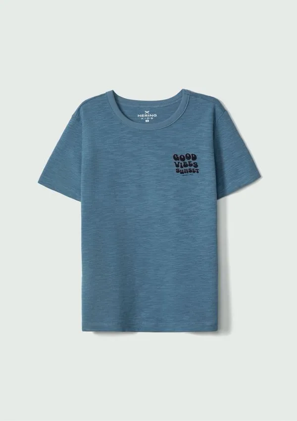 Camiseta Infantil Menino Estampada Flamê - Azul 010