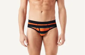 Cueca De Algodão Elástico Às Riscas Grandes - Laranja P