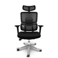 Cadeira Presidente Escritório Ergonômica Gogo Chair Go-601 - Preta