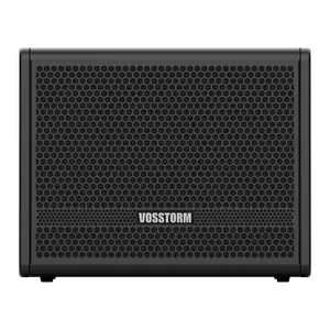 Amplificador Para Baixo 8 Pol 30 W Vosstorm Bs-8