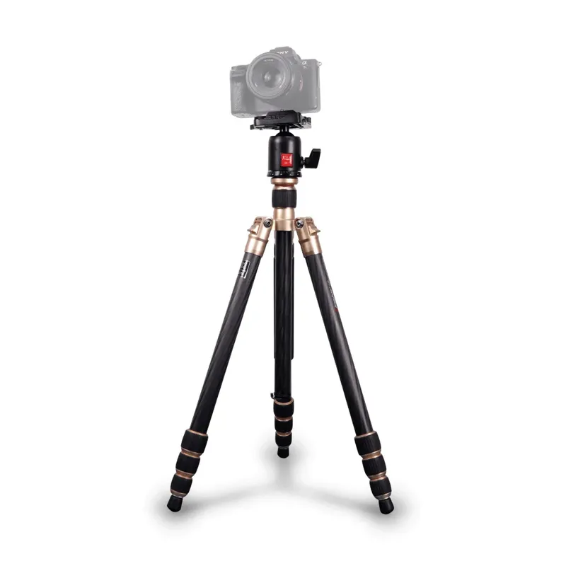 Tripé Kingjoy Cc-258 Fibra De Carbono Com Cabeça Ball Head Até 10kg (dourado)