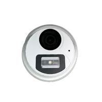 Camera Dome Plastico Color Hunter 1080p