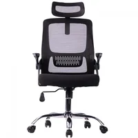 Cadeira Office Mesh Bluecase Pt Estrut Ergo Prime Lombar/pes/braço Bcop-02bkbk