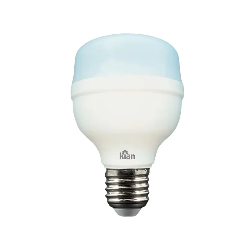 Lâmpada Led Globe 20w Kian,6500k, Branca, Fria Base E27, Bivolt