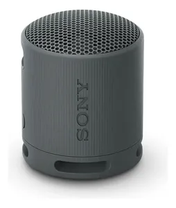 Caixa De Som Sony Srs-xb100 Bluetooth Extra Bass Cinza