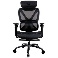 Cadeira Ergonômica Formula V Ergolux 6, Malha Ventilada, Apoio Lombar Regulável, Preto - ERGLX6-BK