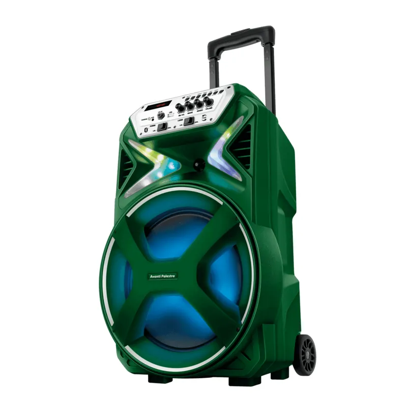 Caixa Amplificada Palmeiras Cmpa-01, Bivolt
