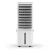 Climatizador De Ar Cadence 3 Em 1 Compactar 8,4l - Cli530 Voltagem:127v