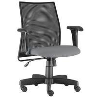 Cadeira De Escritório Giratória Executiva Ergonômica Liss L02 Couro Sintético Cinza - Lyam Decor
