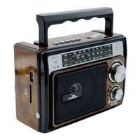 Rádio Caixinha Som Retrô Am Fm Sw Usb Sd Grasep D-1601 - Madeira