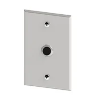 Botoeira Espelho Para Embutir Em Inox 4x2 (na) Drigon
