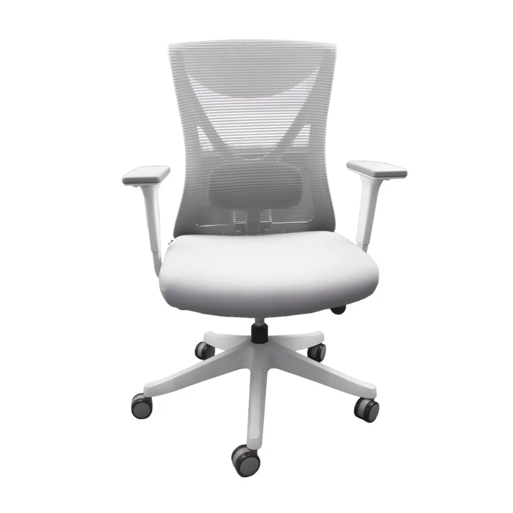 Cadeira Ergonômica Escritório Giratória Com Suporte Lombar Home Office